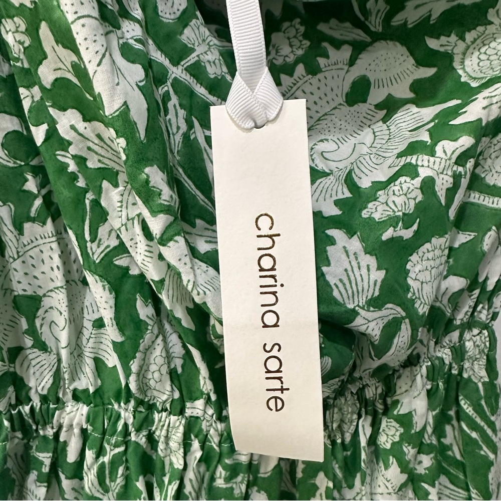 CHARINA SARTE Green Botanica One Shoulder Maxi Dress Tuckernuck Exclusive - Picture 7 of 8